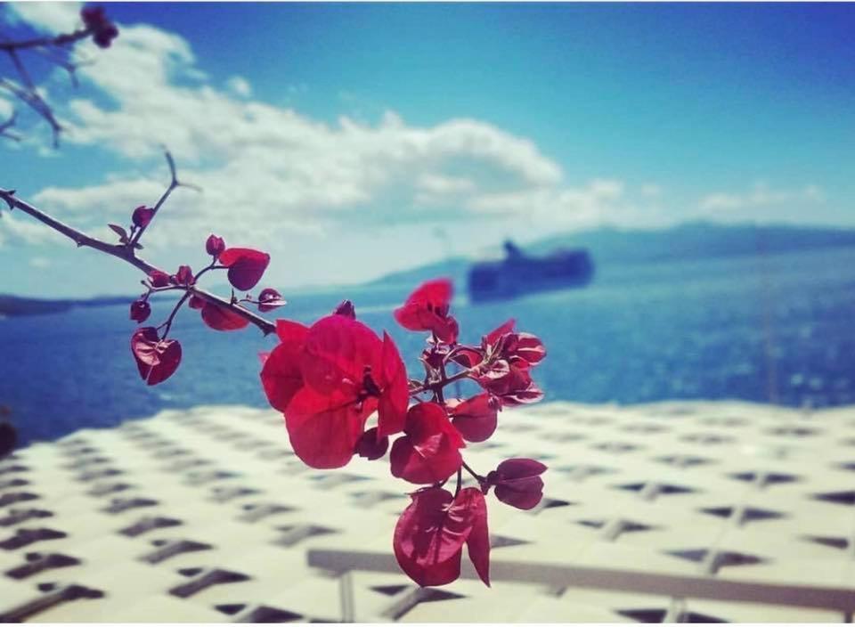 Hotel Erdano Sarandë Eksteriør billede